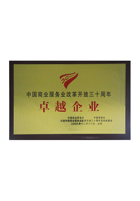 2008年中国商业服务业改革开放三十周年卓越企业